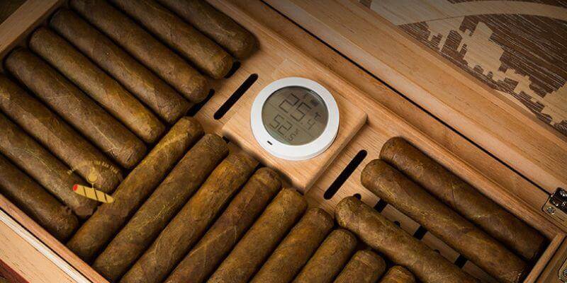 Cách bảo quản xì gà cho người mới chơi